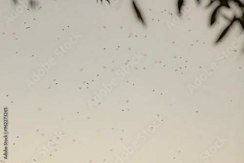 A group of mosquitoes is dispersed across a clear blue sky. The small insects create a natural yet slightly unsettling scene, emphasizing the vast open space around them.