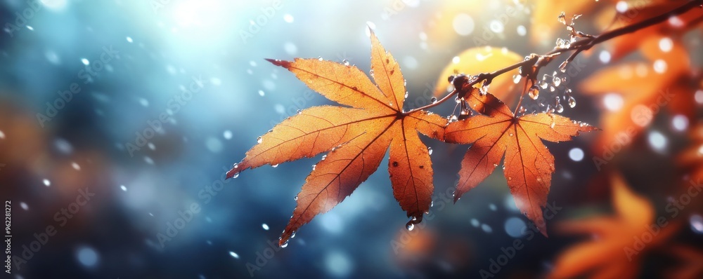 Beautiful autumn leaves on a branch covered with dew drops and illuminated by soft sunlight, perfect for a calming mobile phone wallpaper Beautiful autumn leaves on a branch covered with dew drops and illuminated by soft sunlight, perfect for a calming mobile phone wallpaper
