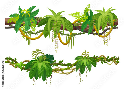 Tropical jungle forest liana and vine branch of ivy creeper plant, cartoon vector. Tropical rainforest liana and Amazon jungle bindweed tree with climbing and hanging green leaves of forest hedera