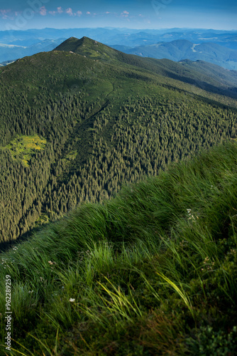aerial perspective landscape of mountains covered with spruce trees and alpin...
