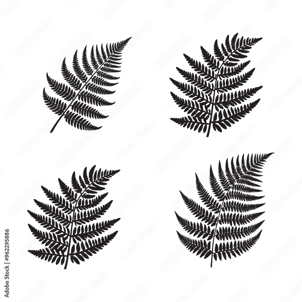 Fern Silhouette Vector Set, Black and White Fern Illustration set Fern Silhouette Vector Set, Black and White Fern Illustration set