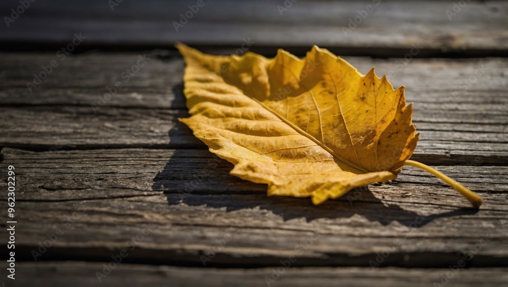 A vibrant yellow autumn leaf resting on a weathered wooden surface, capturing the essence of fall with space for text or design. A vibrant yellow autumn leaf resting on a weathered wooden surface, capturing the essence of fall with space for text or design.