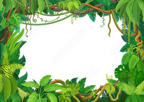 Tropical liana frame of jungle forest ivy branches or creeper plant vine, cartoon vector background. Tropical liana frame or rainforest jungle bindweed tree borders or hedera vine and monstera leaves