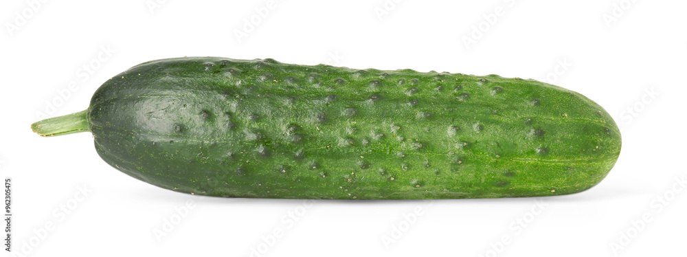 One fresh green cucumber isolated on white One fresh green cucumber isolated on white
