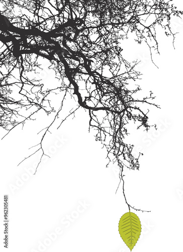 The last leaf of autumn. The last unfallen leaf on a branch. Concept for your design.