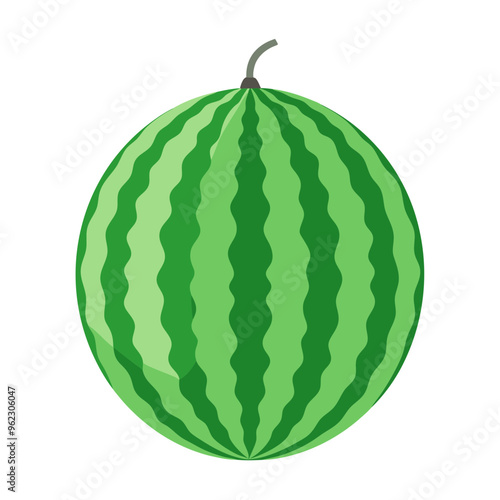 Illustration of a whole watermelon with green stripes on a white background