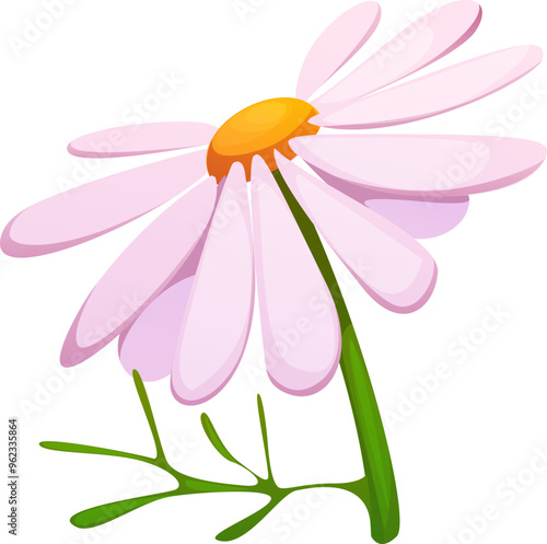 Cartoon herbal chamomile flower with white petals and green stem. Isolated vector plant, product for herbal tea, botanical element and natural remedy. Garden blossom or herb, wildflower or bloom