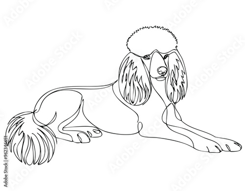 Dolly a cute dog sitting silhouette vector design and illustration. cartoon sketch, drawing, poodle dog design,