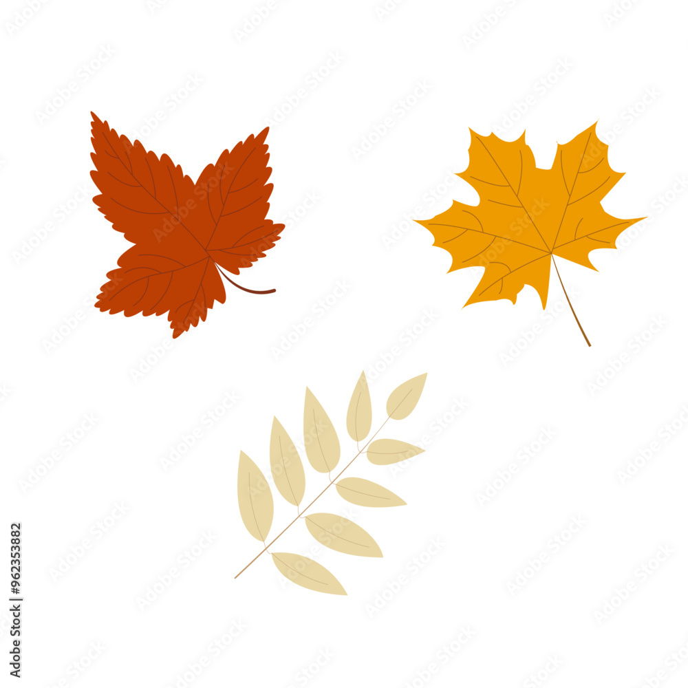 Autumn leaves Autumn leaves