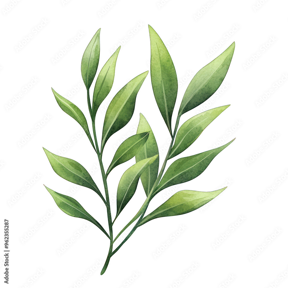 A vibrant green leaf branch showcases nature's beauty, perfect for backgrounds, designs, or botanical themes. watercolor style A vibrant green leaf branch showcases nature's beauty, perfect for backgrounds, designs, or botanical themes. watercolor style