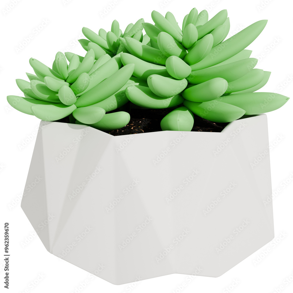 3d render succulent plant in pot vase with transparent background 3d render succulent plant in pot vase with transparent background