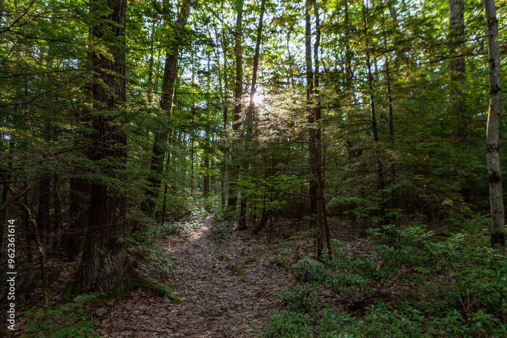 Fototapeta premium Shawangunk Ridge, New York, USA