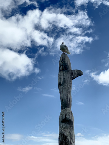 Seagull Perched On A Totem Of A Whale In New Zealand photo