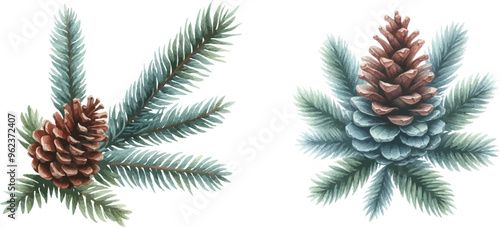 Pine cone vector icons set.Christmas tree with green pine cone branches isolated on white baqckground. Fir tree branches with cones.