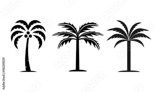 Three Different Styles of Palm Trees