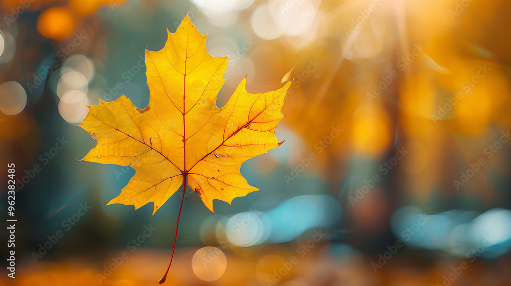 Autumn background with autumn leaves in the forest. Golden yellow autumn maple leaf wallpaper concept. Autumn background with autumn leaves in the forest. Golden yellow autumn maple leaf wallpaper concept.
