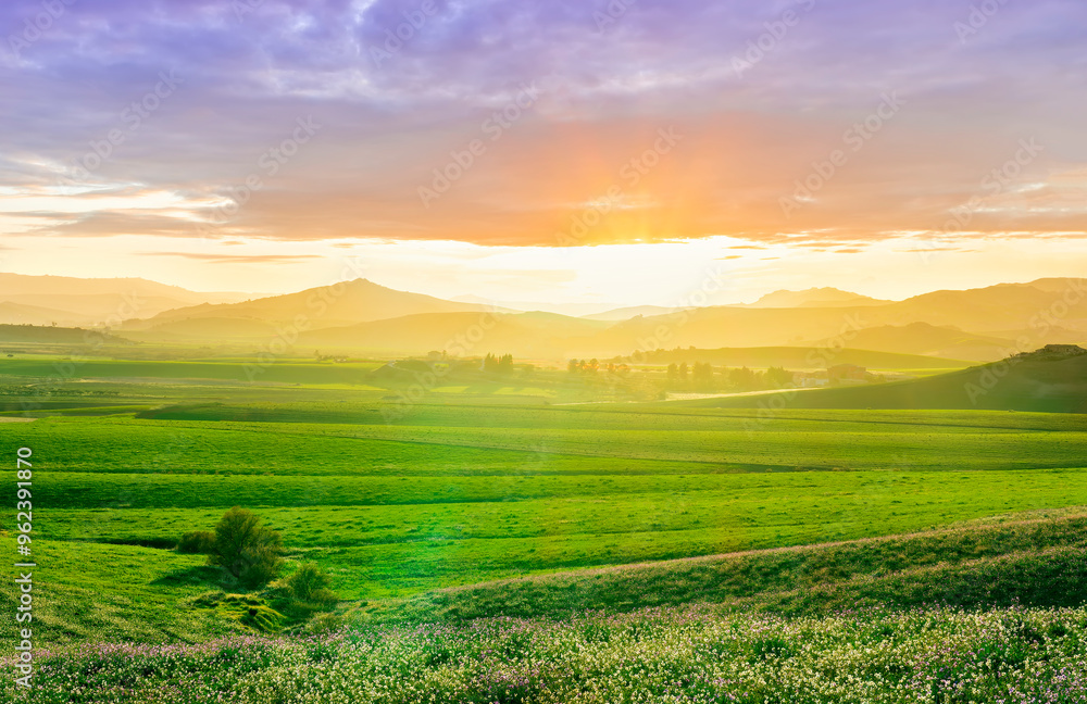 Obraz premium panoramic spring season landscape of beautiful greel field with yellow and salad hills and mountains in countryside