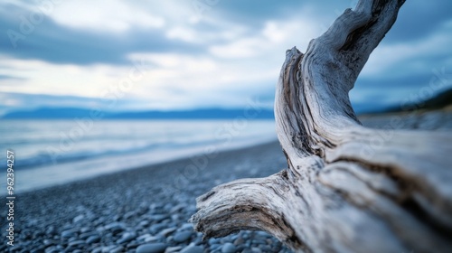 Driftwood Serenity, a tranquil beach scene featuring a solitary piece of driftwood against an expansive sky, evoking simplicity and the beauty of nature. photo