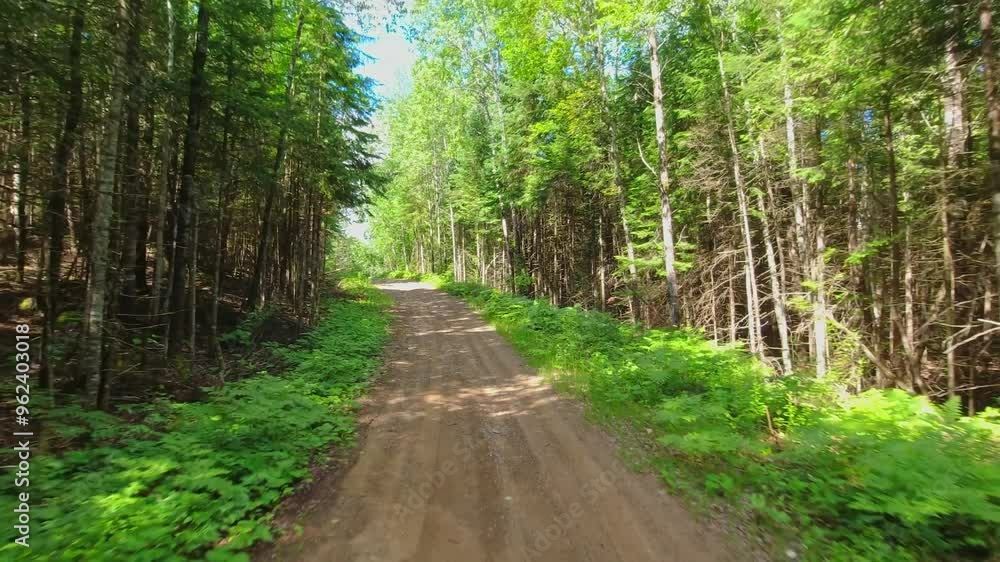 Scenic back view driving plate of dirt road during sunny summer exploration adventure. Driving down mountain muddy off road in western Canada. North America in the country side travel. POV. Scenic back view driving plate of dirt road during sunny summer exploration adventure. Driving down mountain muddy off road in western Canada. North America in the country side travel. POV.