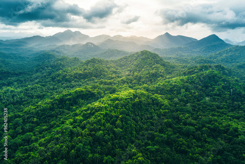 Aerial view of lush green forest and mountains under cloudy sky.