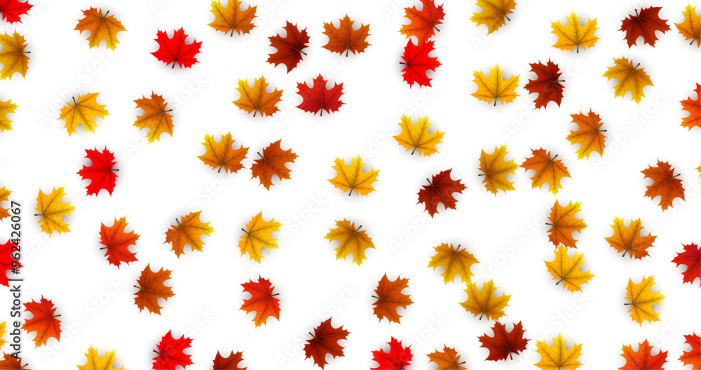 Pattern of scattered autumn maple leaves in vibrant red, orange, and yellow tones. Vector illustration. Pattern of scattered autumn maple leaves in vibrant red, orange, and yellow tones. Vector illustration.