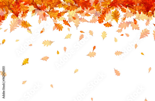 Pattern of autumn oak leaves gently falling against a white background. Vector illustration.