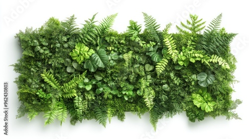 Lush Green Foliage Arrangement on a White Background