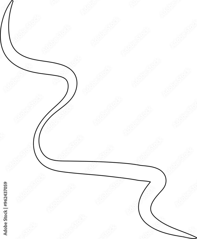 Line doodle, hand drawn style Line doodle, hand drawn style