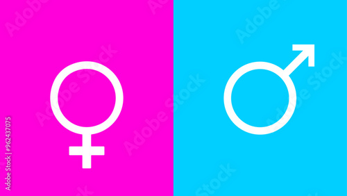 male and female symbols, Gender icon, Pink and blue male female icon, vector illustration, male and female icons with pink and blue background.