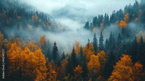 A misty mountain valley with lush green trees and vibrant yellow foliage.