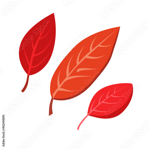 Vector autumn red and orange dry rowan leaves. Flat illustration with brown plants for design
