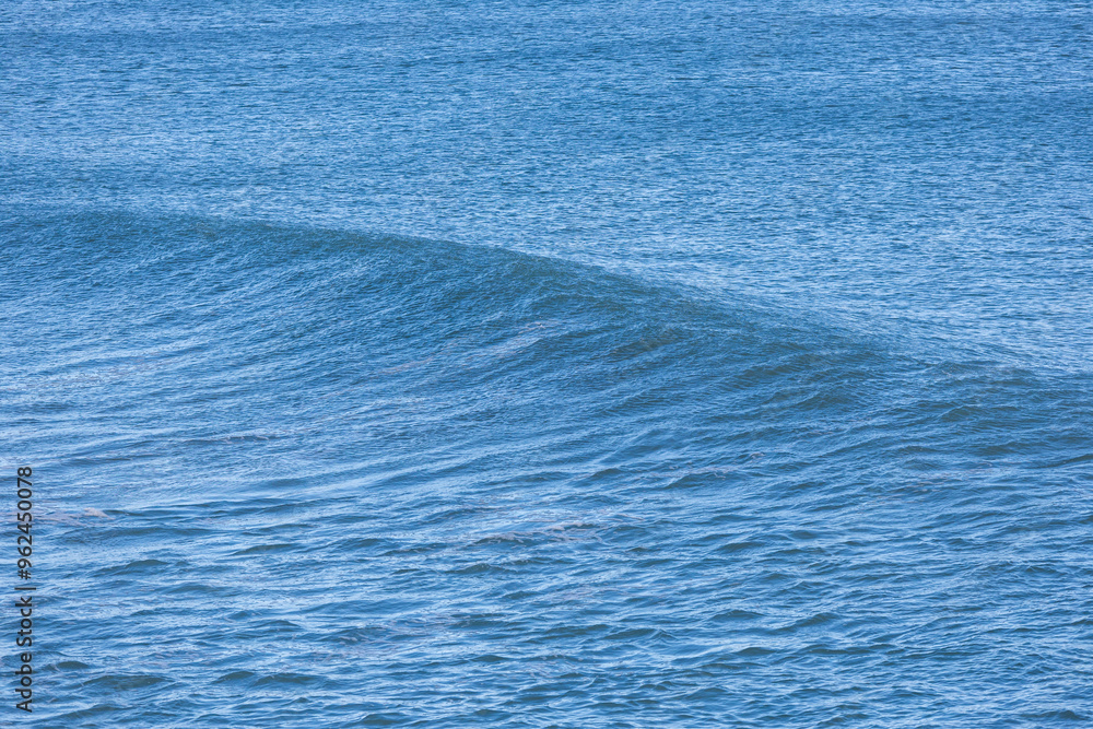 Obraz premium Beautiful wave forming in the blue ocean.