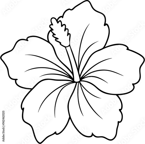 hibicus flower9