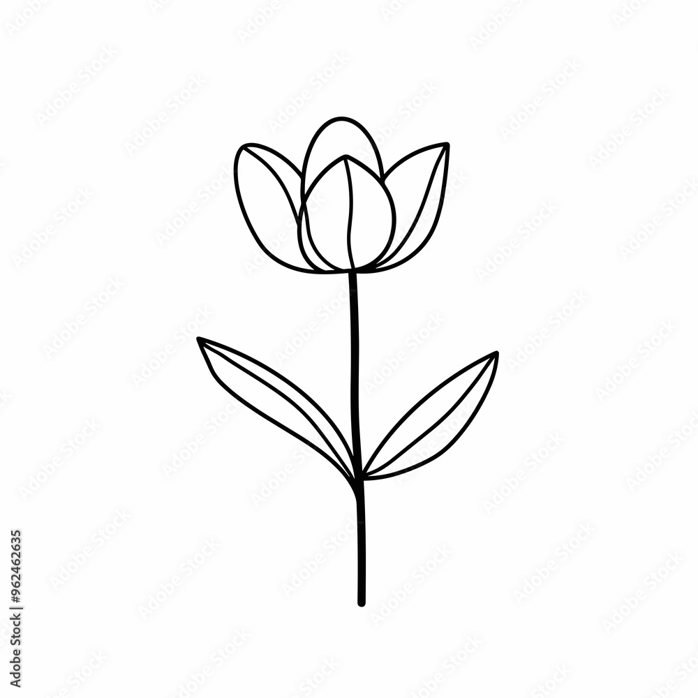 This vector illustration features a minimalistic outline of bloodroot, highlighting the flower's distinct shape and leaves, ideal for various graphic design uses This vector illustration features a minimalistic outline of bloodroot, highlighting the flower's distinct shape and leaves, ideal for various graphic design uses