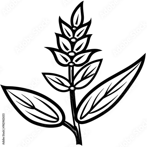 A detailed vector depiction of a blazing star plant featuring elongated leaves and distinct flower spikes, illustrating a minimalist line design suitable for various applications