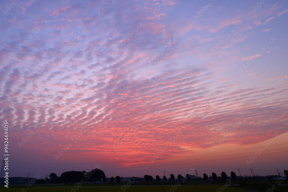 Fototapeta premium 朝焼け