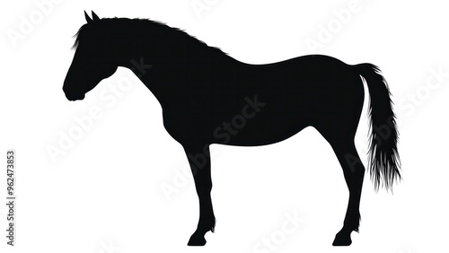 A horse is shown in silhouette on a white background