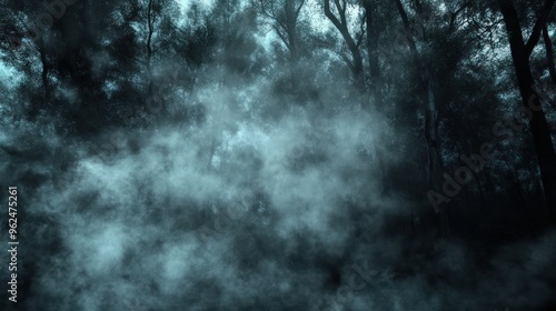 Halloween Concpept ,Foggy and Silhouetted Trees in a Dark Forest photo