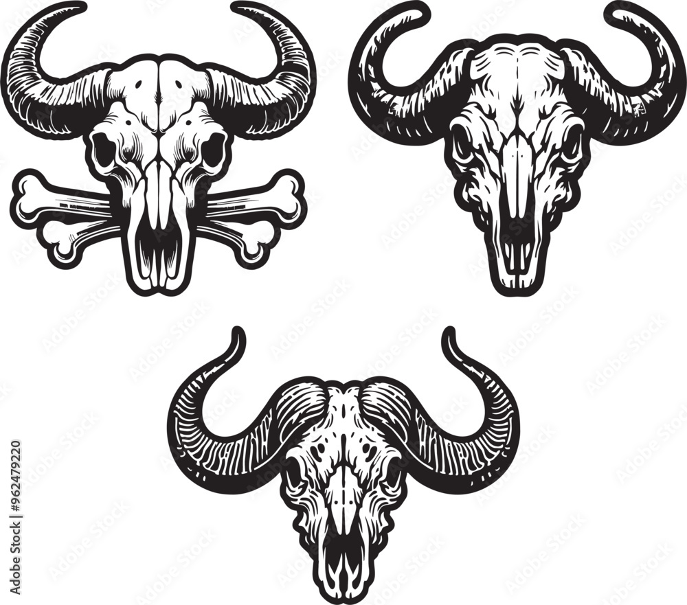 Obraz premium buffalo skull head vector black white