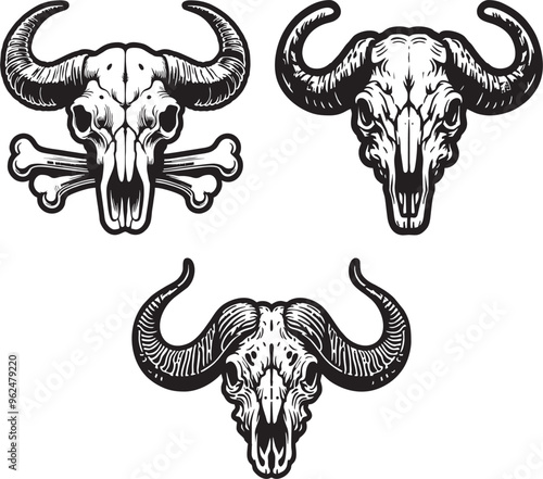 buffalo skull head vector black white