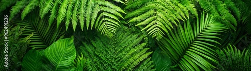 Close-up of lush green foliage, creating a dense and textured pattern.