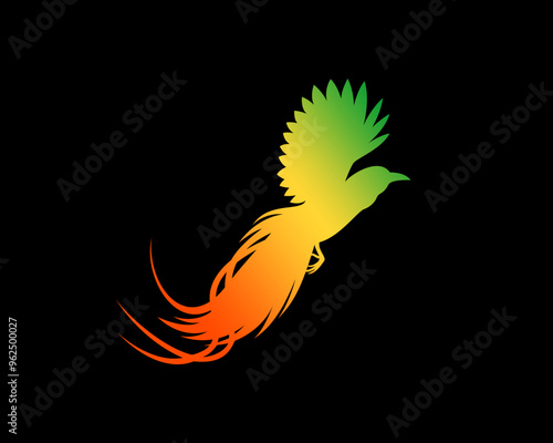 Bird of paradise vector art, Icon, Graphic, Illustration