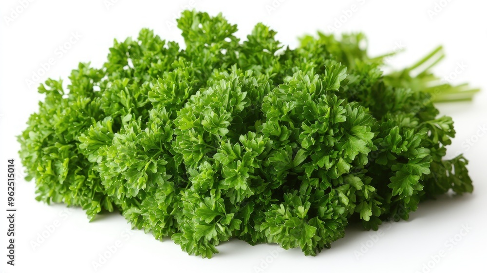 A bunch of fresh green parsley leaves isolated on a white background. A bunch of fresh green parsley leaves isolated on a white background.