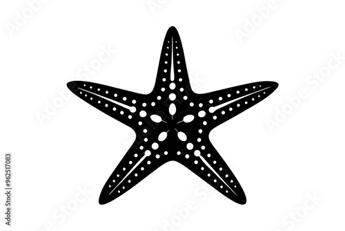 starfish silhouette vector illustration