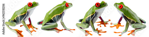 Vibrant green tree frog with striking red eyes in multiple poses isolated on transparent background photo