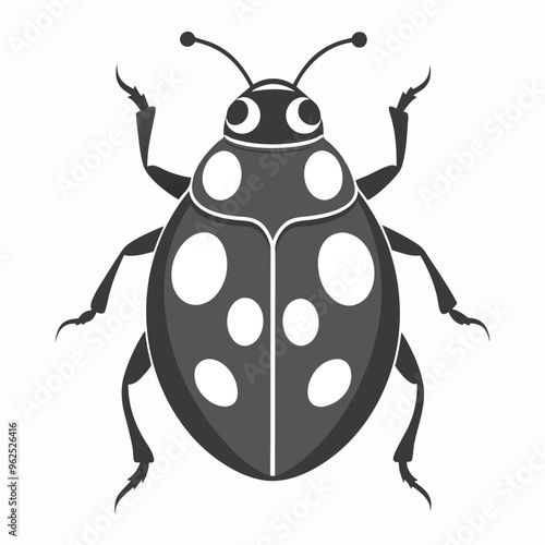  vector ash grey lady beetle vector art walking view