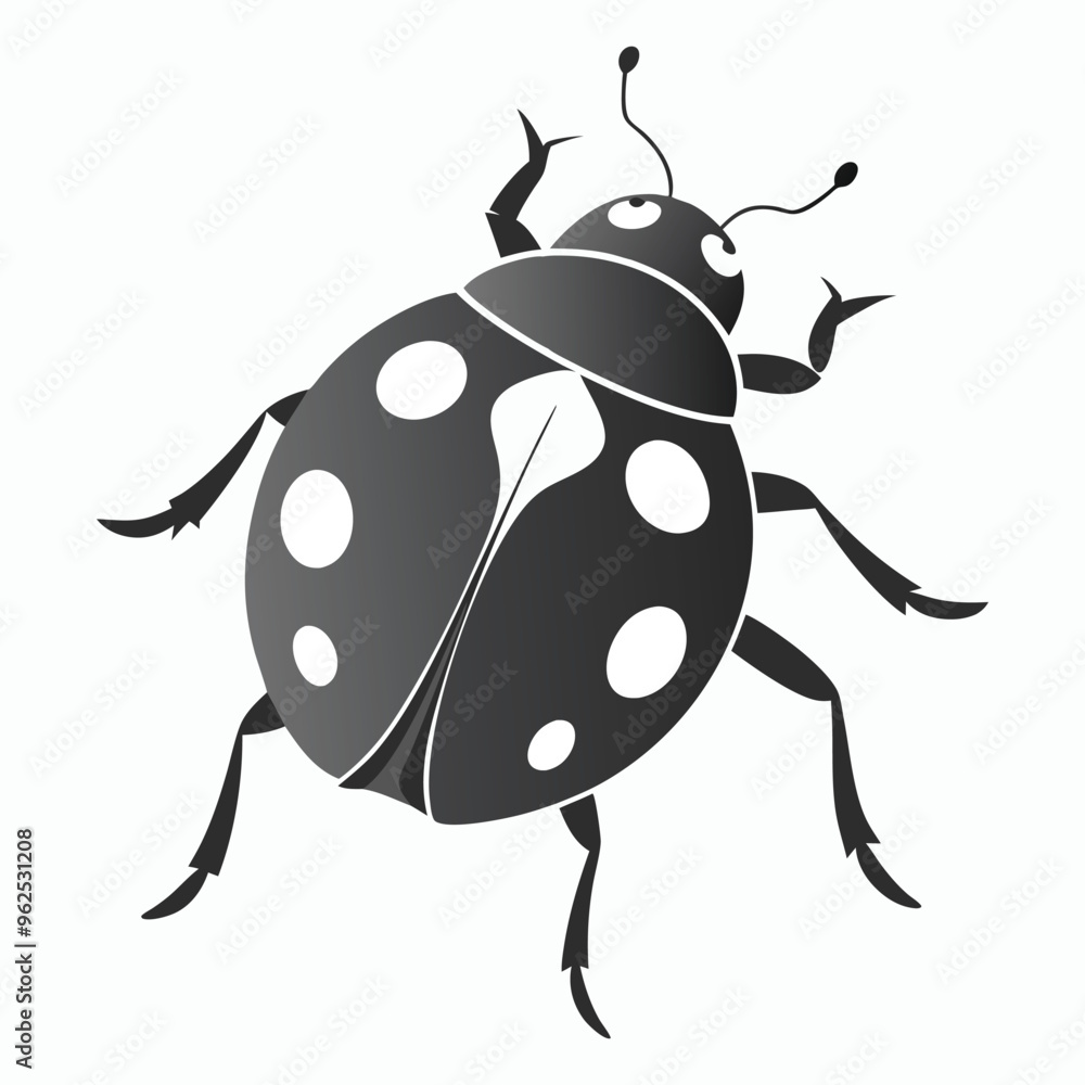 vector ash grey lady beetle vector art walking view vector ash grey lady beetle vector art walking view