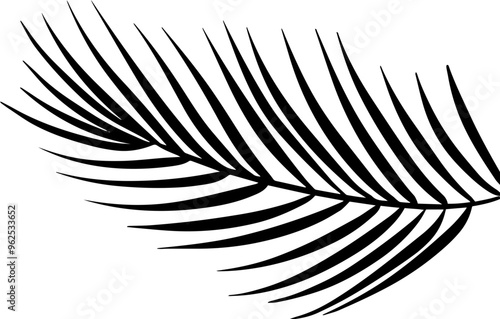 Palm leaf icon silhouette illustration