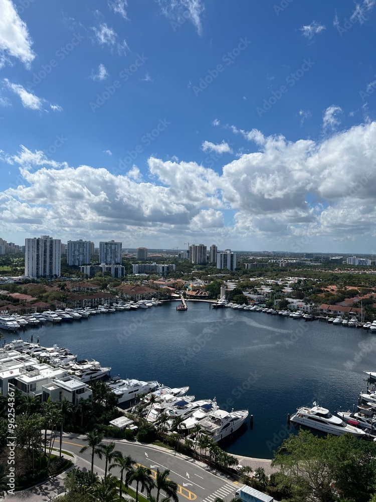 Obraz premium city harbour bridge