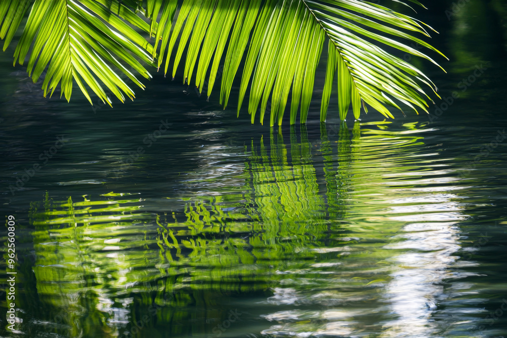 A serene scene featuring lush green palm leaves reflecting on calm water, creating a tranquil atmosphere. A serene scene featuring lush green palm leaves reflecting on calm water, creating a tranquil atmosphere.